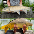 AMUR KARP.png