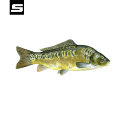 CARP.png